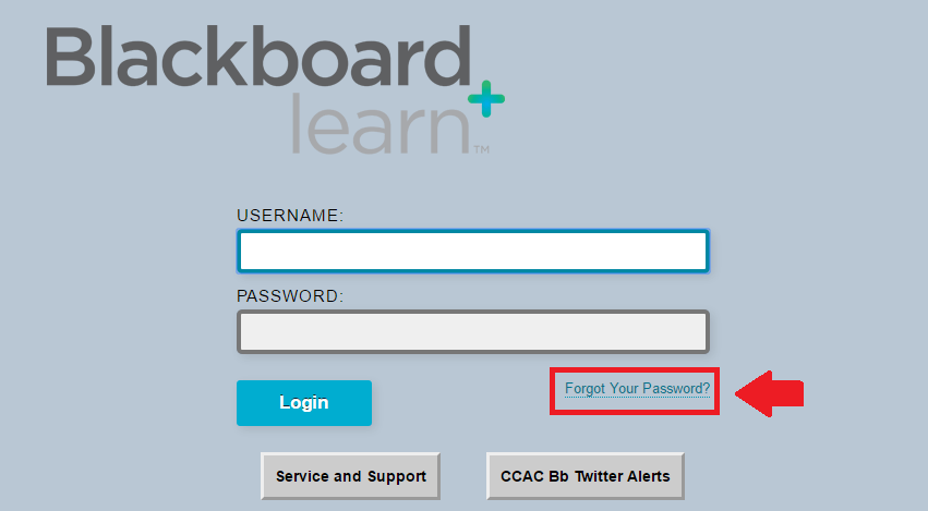 ccac blackboard forgot password link screenshot